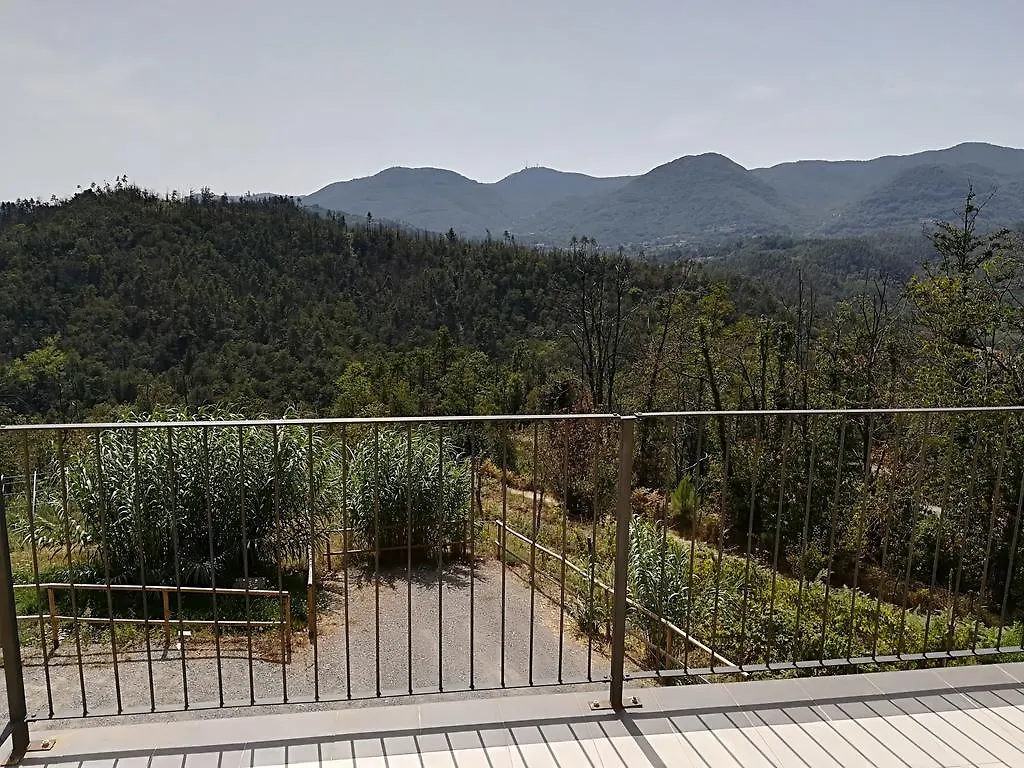 Villa I Gelsi E I Castagni Polverara Bauernhof